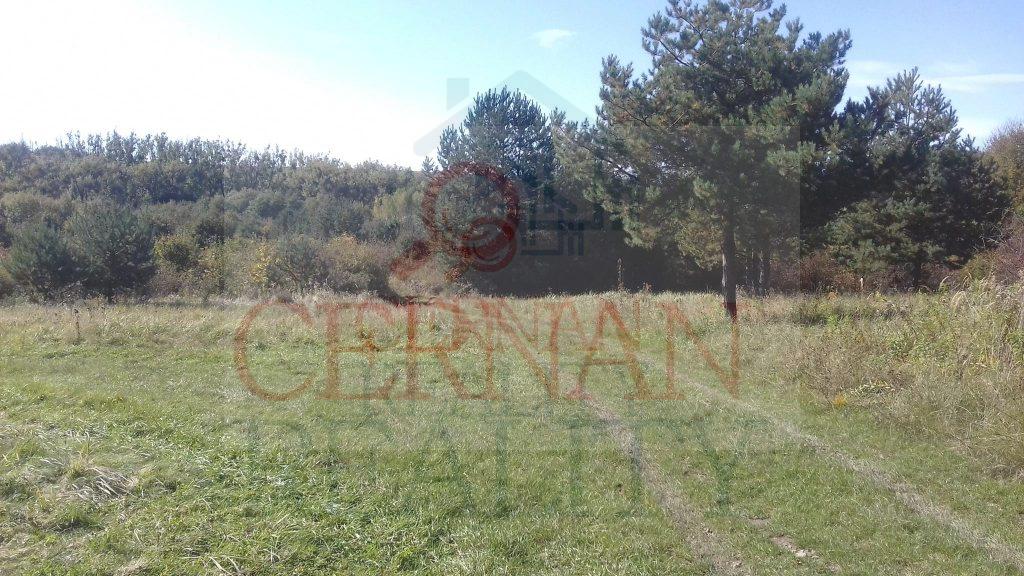 PREDANÉ - Záhrada Ploské - Ortaše 10 árov, 13 km od Košíc