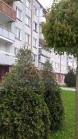 predam 4 izbovy byt v secovciach blizko trebisova 3 scaled