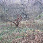 predam pozemok vysny klatov kosice scaled