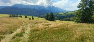 predaj pozemok zdiar vysoke tatry