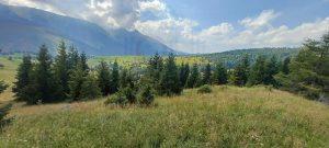 predaj pozemok zdiar vysoke tatry