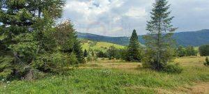 predaj pozemok zdiar vysoke tatry