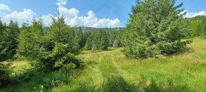 predaj pozemok zdiar vysoke tatry
