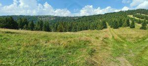 predaj pozemok zdiar vysoke tatry