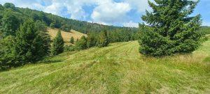predaj pozemok zdiar vysoke tatry