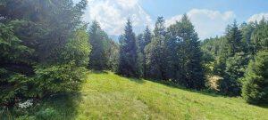 predaj pozemok zdiar vysoke tatry