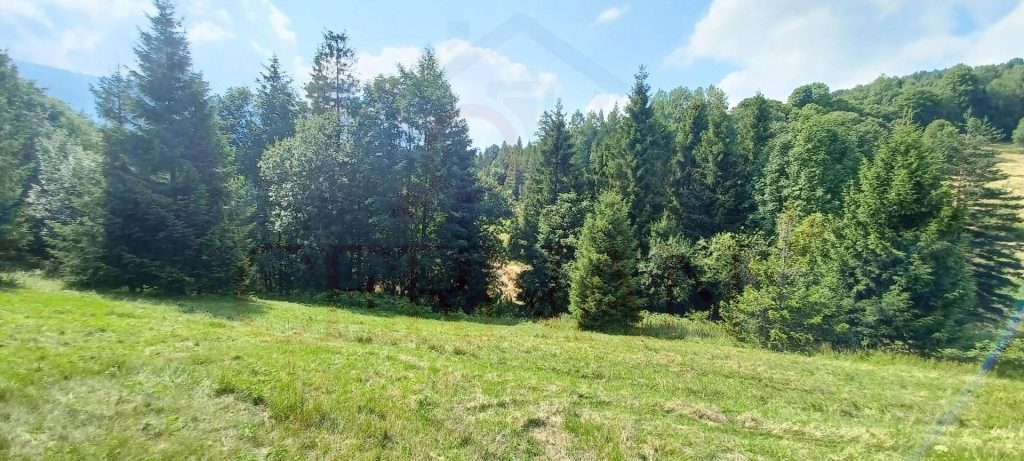 Pozemok na predaj v obci Ždiar 1963 m2 - samota v lese