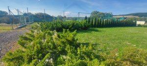 predaj penzion rankovce kosice