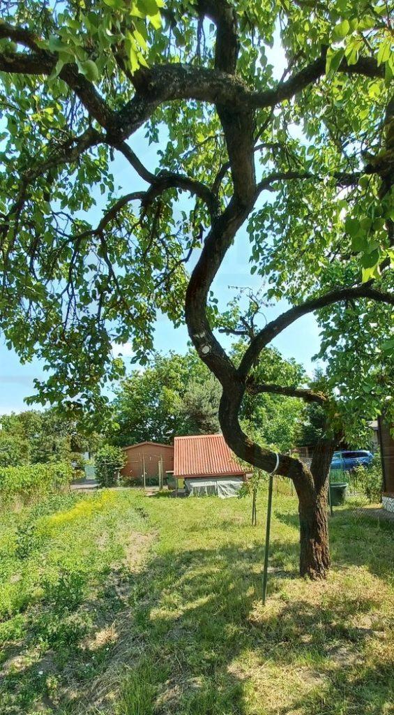 Predaj stavebná parcela - pozemok 406 m2 Valaliky pri Košiciach