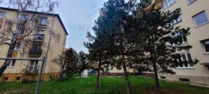 predam byt kosice stare mesto