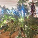 predaj ubytovna velke kapusany