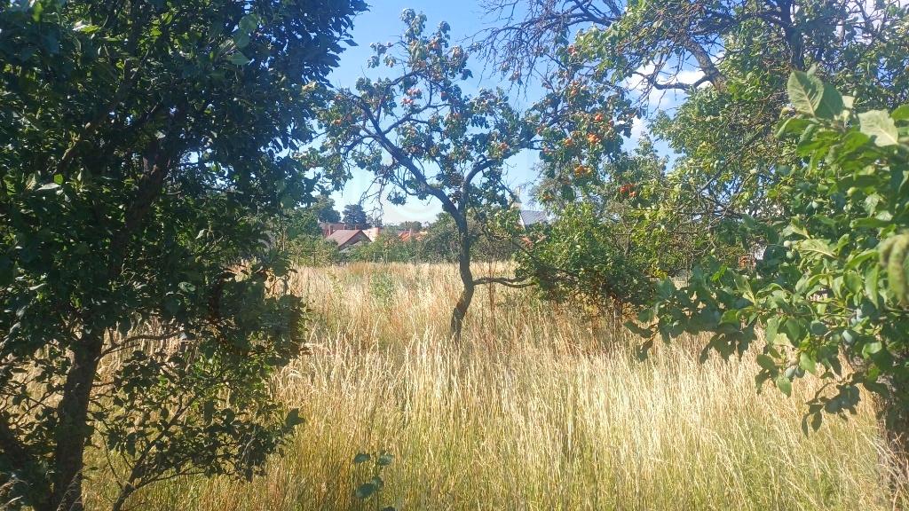 Stavebná parcela 1281m2 intravilán, Malé Ozorovce, okr. Trebišov